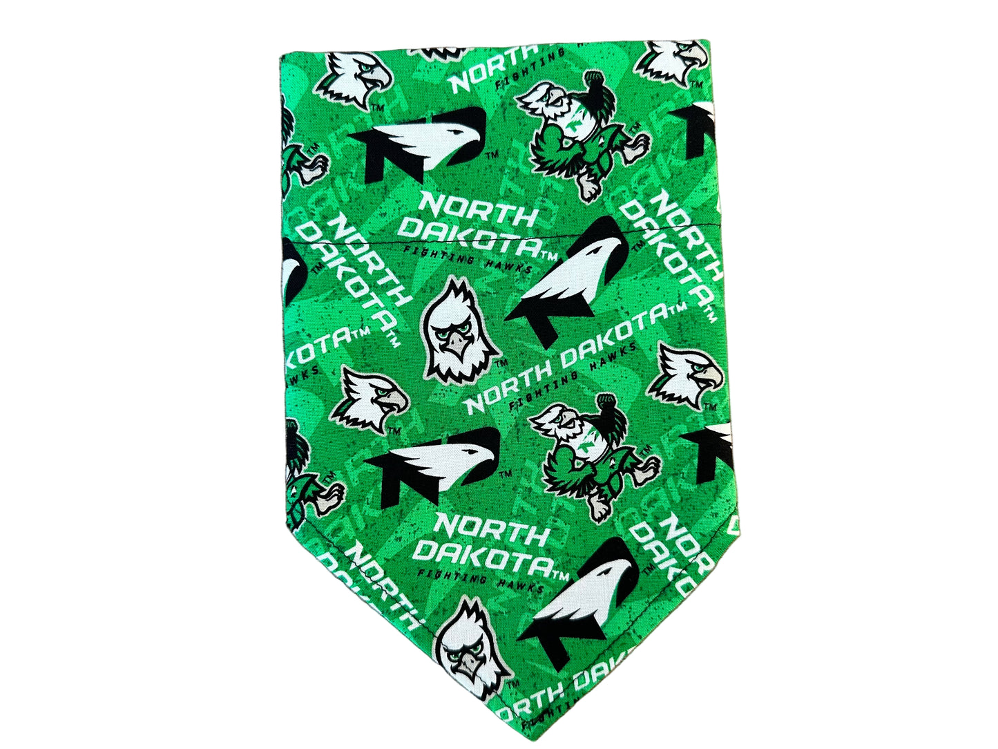 University of North Dakota | Bandana