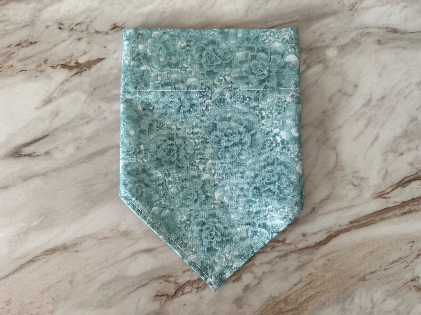 Succulents | Bandana