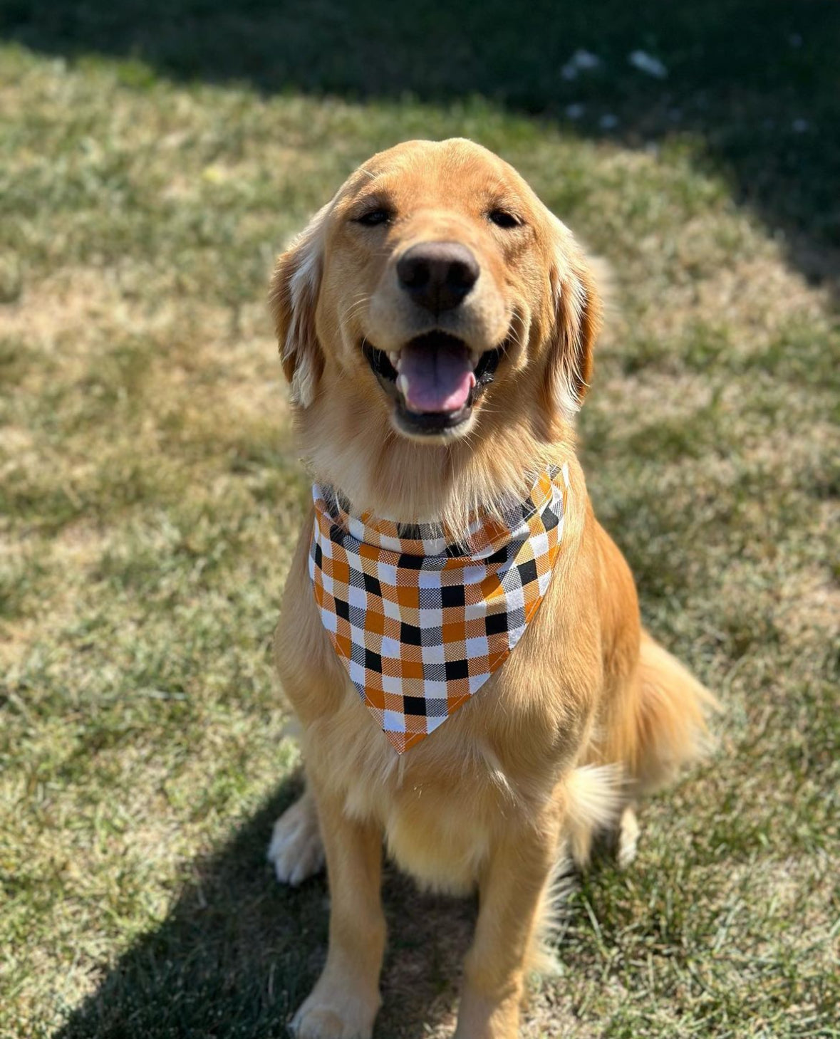 Plaid | Orange + Navy