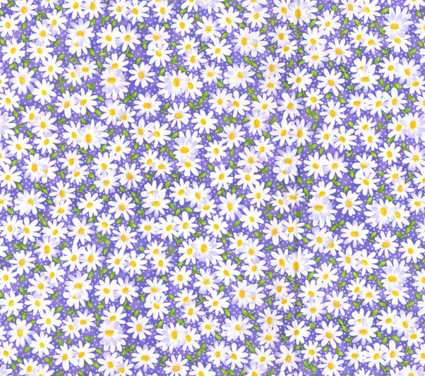 Floral | Purple Daisies