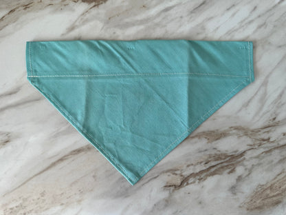 Teal | Bandana