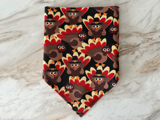Turkeys | Bandana