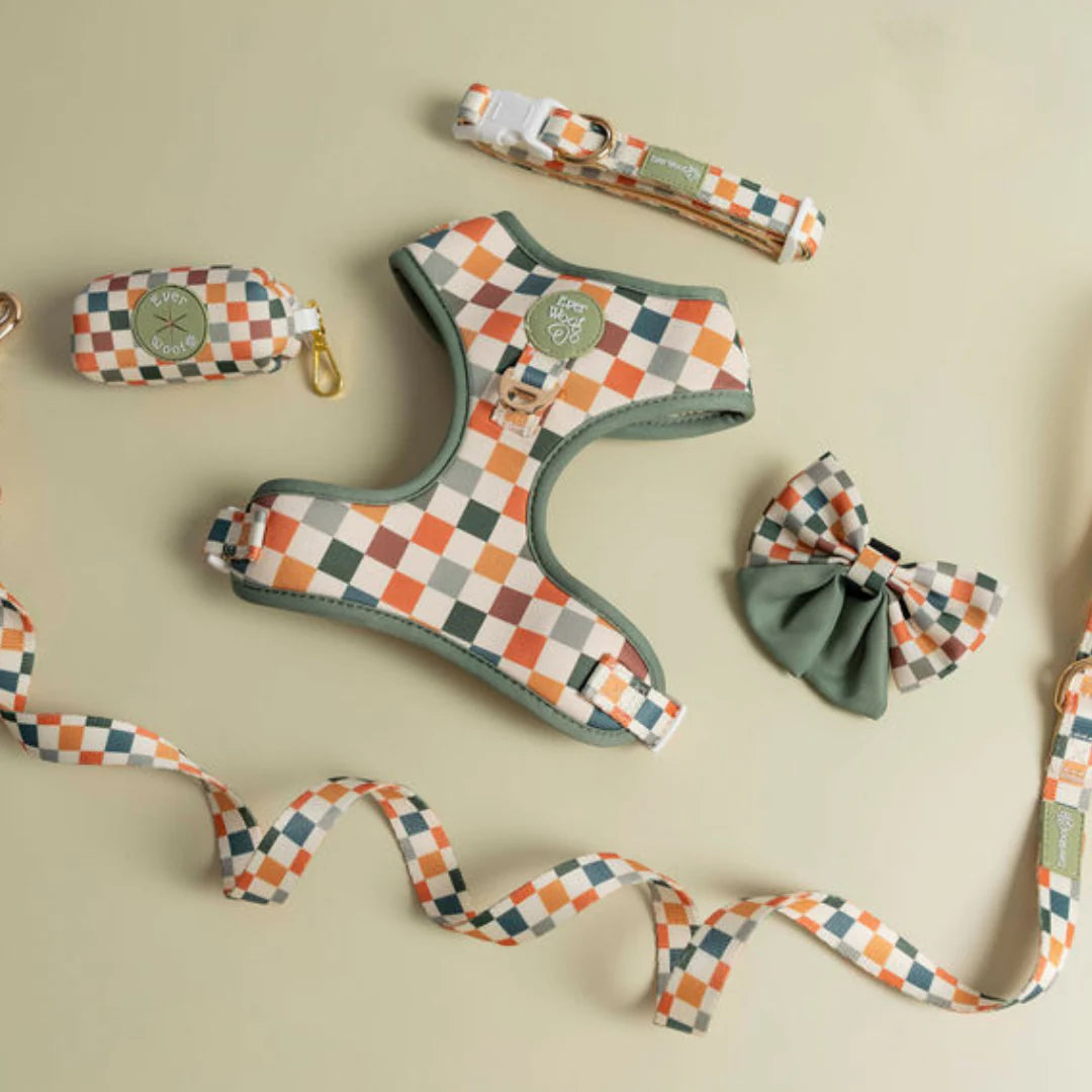 Sage + Cider | Leash