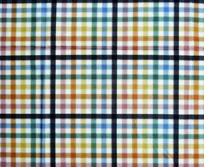 Plaid | Rainbow