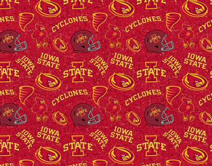 Iowa State University