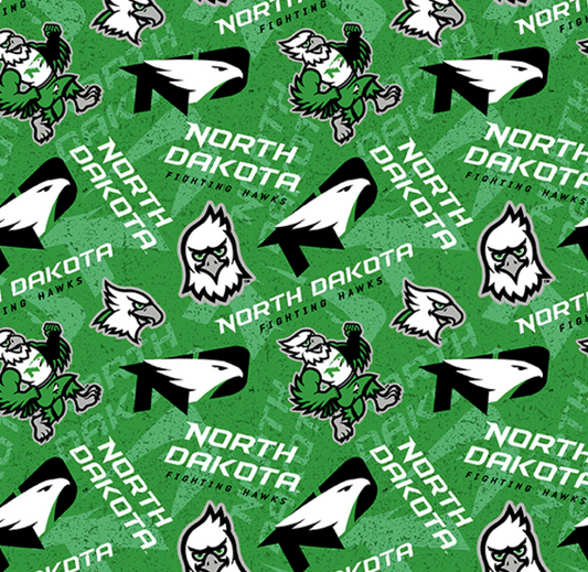 University of North Dakota